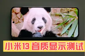小米13 没有哈曼卡顿调音 8bit屏幕 实际表现如何？