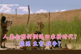 人类会因何倒退回农耕时代？能源、生育、战争？视频封面