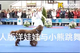 真人版洋娃娃与小熊跳舞视频封面