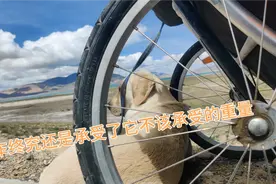 阿里行：带狗骑行终不堪重负，花1300给狗狗焊个房车(架子)值么？视频封面