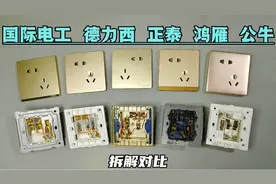 国际电工，德力西，正泰，鸿雁，公牛五款插座拆解对比