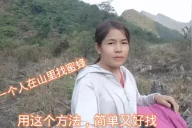 广西妹一个人在山里找蜜蜂，用这个方法，既简单又容易找到蜂窝视频封面