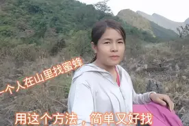 广西妹一个人在山里找蜜蜂，用这个方法，既简单又容易找到蜂窝视频封面