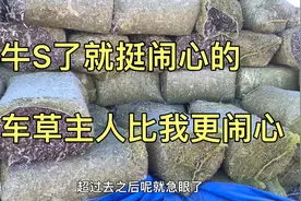 觉得牛S了挺闹心，卸这车草块卖草主人更闹心😠年轻轻的就毁了视频封面