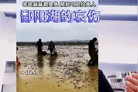 鄱阳湖的哀伤，亿万生灵枯死殆尽，地球也在干枯，人类也是鱼虾。视频封面