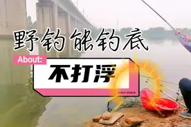 野钓中能钓底，尽量不打浮的几个原因，助你钓获多多视频封面