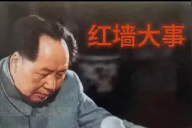 1958年军内反“教条主义”的最新披露（三）张树徳视频封面