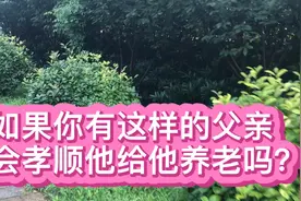 68岁的老头，三个儿子两个女儿，无一人主动赡养他视频封面