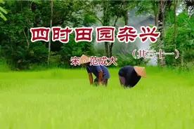 古诗词朗诵《四时田园杂兴．其三十一》（五年级语文下册）视频封面