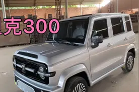 老年代步车 新能源低速汽车 四轮电动车 油电两用 家用代步接送孩视频封面