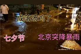 北京七夕节突降暴雨，公交车乘客因雨大无法下车，成落汤鸡了视频封面