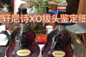 洋酒：轩尼诗XO鉴定拔帽方法讲解视频封面