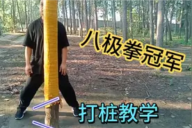 八极拳冠军打桩教学，砍桩、搂桩、靠桩等视频封面