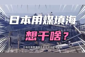 日本为什么用煤填海，从国外进口大量木材视频封面