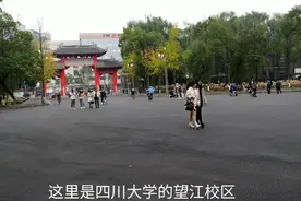 985大学（四川大学）