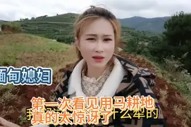 缅甸媳妇带大家看看，什么叫真正的大机械，真的让我大开眼。视频封面