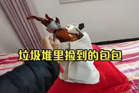 小伙收破烂，在垃圾堆里捡到一个女士包包，包里私人物品真多视频封面