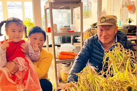 这修鞋老爸太可爱了！一听说干活就躲进被窝里，气的老妈直冒火！视频封面