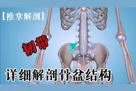 详细解剖骨盆结构（下）【推拿解剖】视频封面