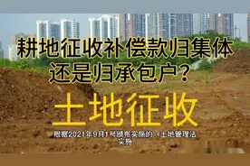 耕地征收补偿款到底是归农户还是归村集体？视频封面