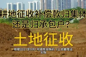 耕地征收补偿款到底是归农户还是归村集体？视频封面