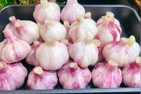 腌糖蒜，只加白糖白醋就错了，教你正确配方比例，脆甜开胃不易坏视频封面