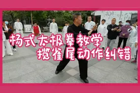 杨式太极拳循环八式教学，揽雀尾动作常见错误动作纠错视频封面