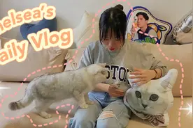 Vlog | 把朋友家的猫撸生气了该怎么办视频封面