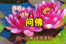 佛歌经典《问佛》任妙音女声版视频封面