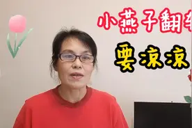 小燕子赵薇被封杀，产品下架删除，黑历史被扒，好友避嫌取关！视频封面
