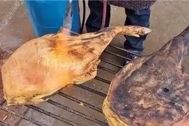 宣威火腿为什么不用猪前腿腌制，原来蹊跷在这里