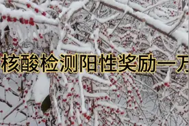 哈尔滨发布40号令对返哈人员主动报备核酸检测为阳性者奖励一万元视频封面