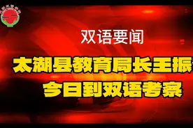 太湖县教育局长到双语学校考察调研视频封面