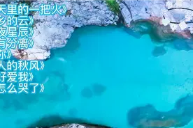 费翔经典老歌百听不厌《冬天里的一把火》《故乡的云》《昨夜星辰