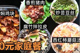 50块钱做4菜1汤，有煎肉有焖鸡，3代6个人没吃完，省钱又好吃视频封面