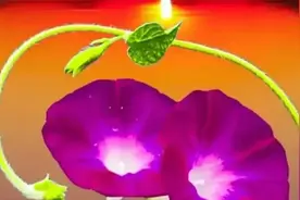 我们不能忘记过去！那个年代的人都很苦！感恩所有带给我们生活🌹视频封面