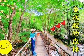 北京郊区又找到一个超棒原生态野山谷，森林峡谷溪流瀑布这全都有视频封面