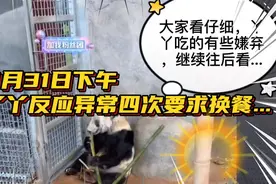 3月31日下午，丫丫反应异常，四次要求换餐...视频封面
