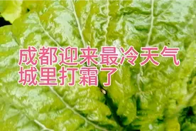 成都迎来最冷天气，城里打霜了视频封面