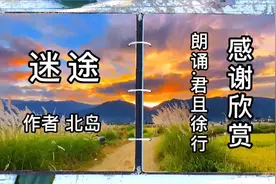 “迷途的蒲公英”是诗人北岛的化身，“你”到底指什么？视频封面