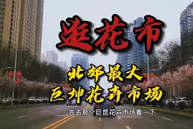 西安北郊最大花卉市场，停车场巨大，花真心便宜，买了一车花视频封面