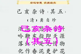 己亥杂诗，龚自珍，初中七下诗词，落红不是无情物化作春泥更护花视频封面