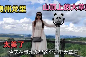 贵州龙里大草原太美了，草原辽阔天空很蓝，像到了蒙古一样视频封面