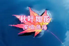 陈瑞的磁性嗓音演唱《秋叶如花》，歌声温婉动听，百听不厌视频封面