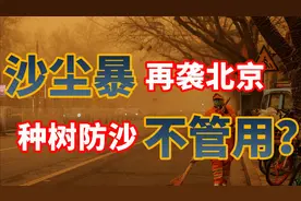 近10年最大沙尘暴突袭北京，为何沙尘暴又回来了？种树管用吗？视频封面