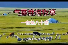气雾栽培牧草一亩当80亩月，工厂化生产促进畜牧业大发展视频封面