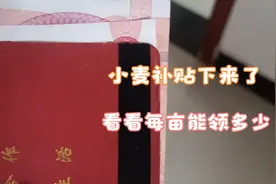 湖北襄阳小麦补贴开始发放了，看每亩小麦能领多少补贴，一样吗？视频封面