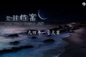 尘封档案133-九四年一号大案视频封面