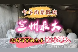 兰州最大的牛羊肉批发市场，不吃肉、不杀生、胆小的莫入。视频封面