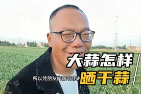 大蒜晒干蒜应该怎样晒，都有什么讲究，听老四怎么说的视频封面